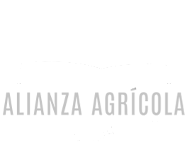 ecofood-logo-stiky